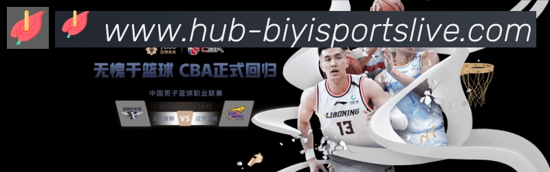 未来规划